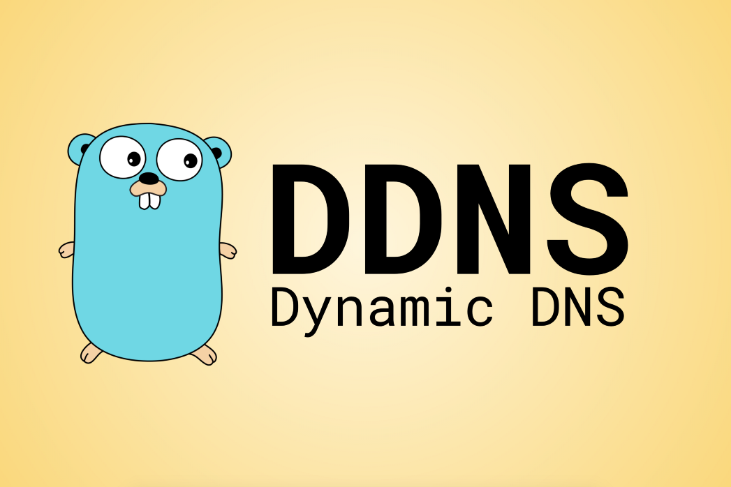 DDNS چیست
