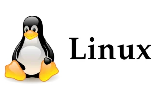 سرور لینوکس چیست