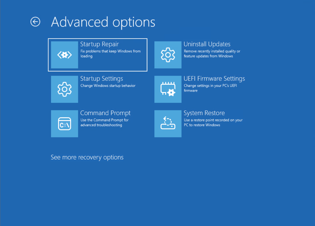 محیط Advanced Options